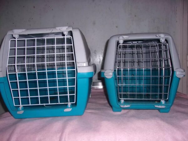 cage for dog, cat and parrot